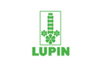 Lupin